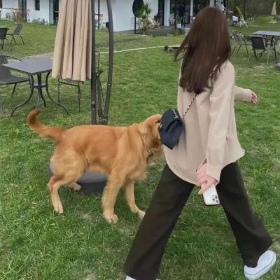 我的第二青春